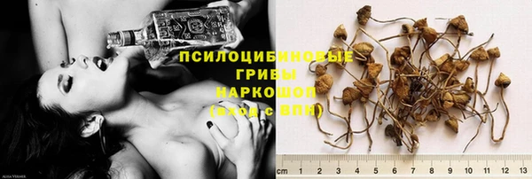не бодяженный Алзамай
