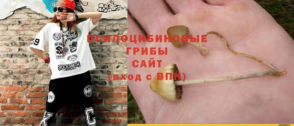 соль ск Алексеевка