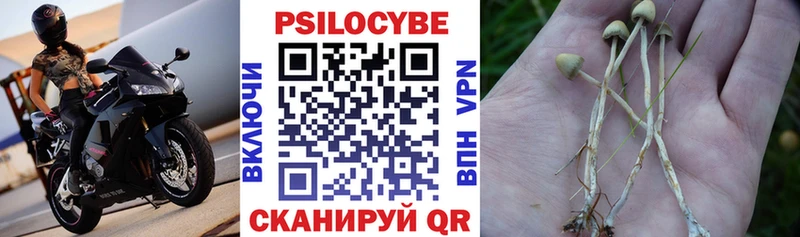 Псилоцибиновые грибы ЛСД дарнет шоп Ижевск